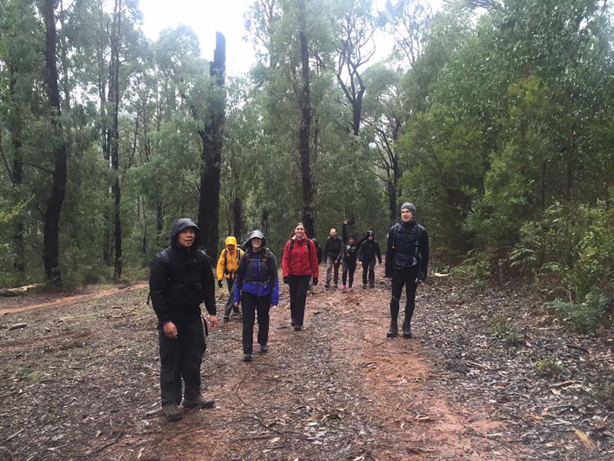 Keppell lookout & steavenson falls hike 8