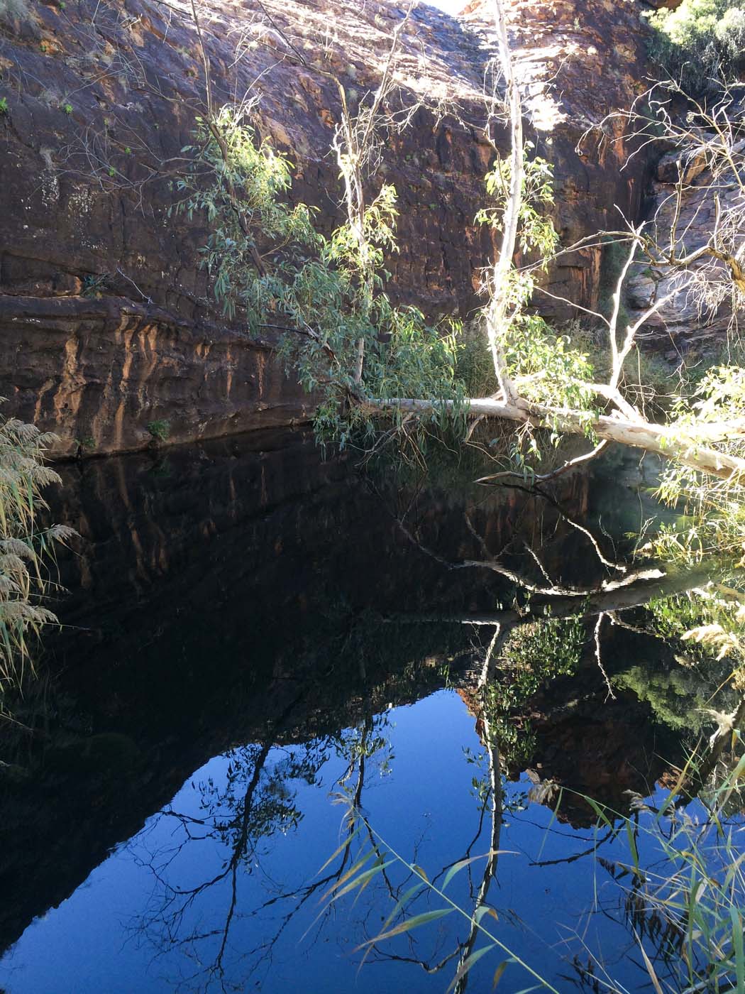 Kings creek walk watarrka (1)