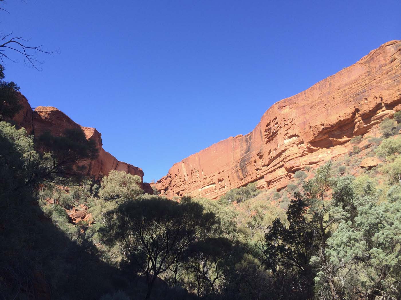 Kings creek walk watarrka (2)