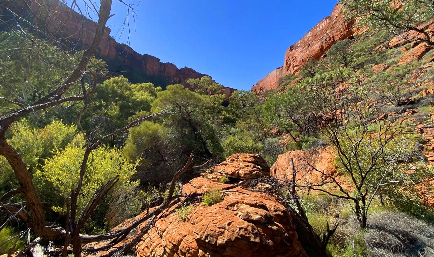 Kings creek walk watarrka (5)