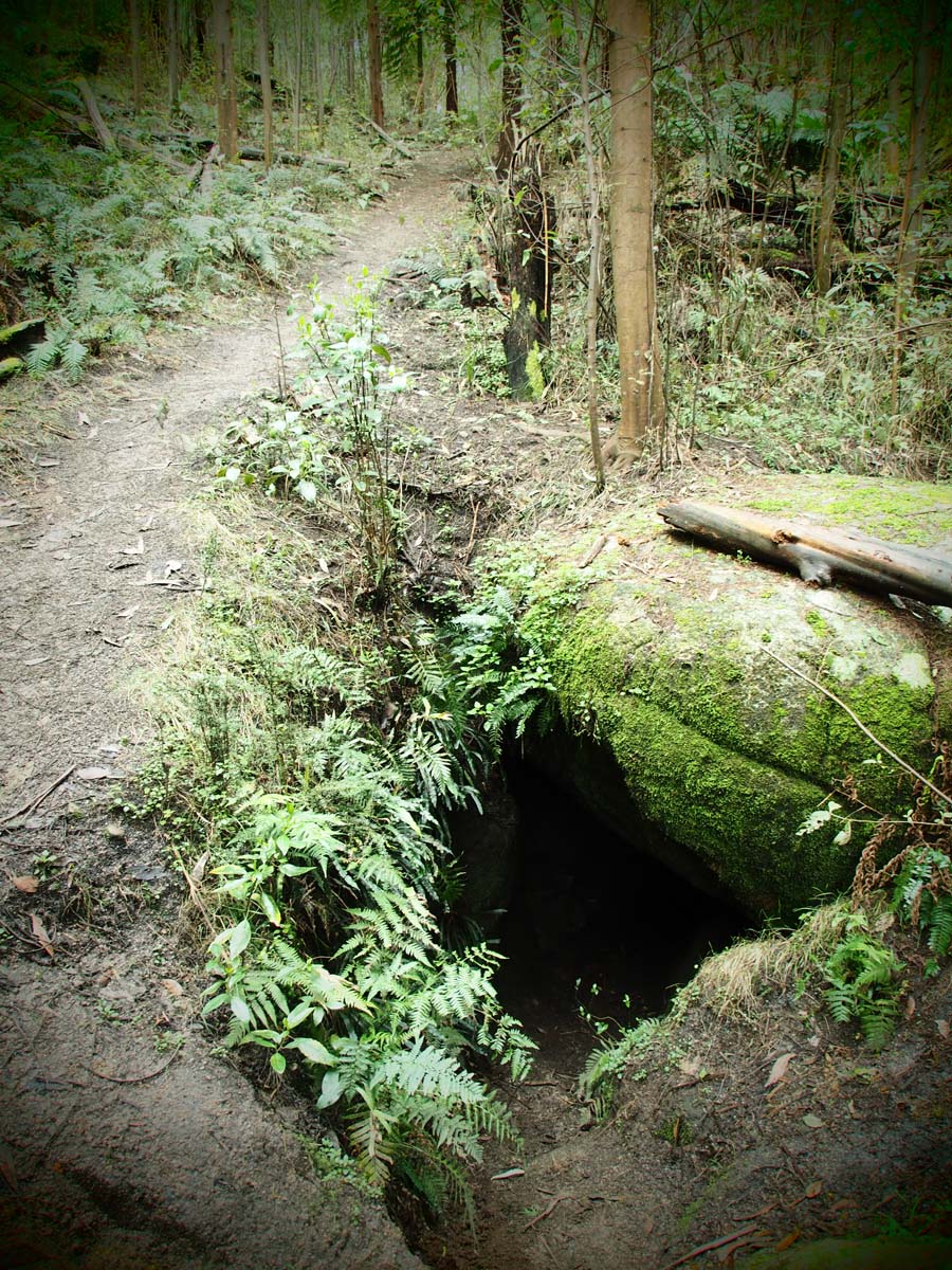 Labertouche south hells gate hike 11