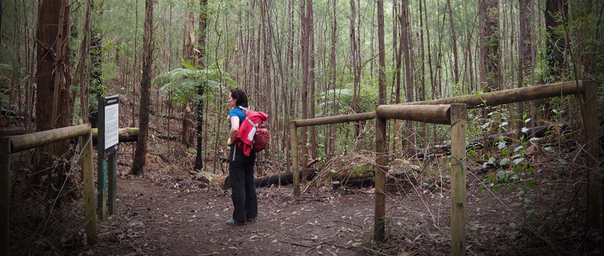 Labertouche south hells gate hike 3