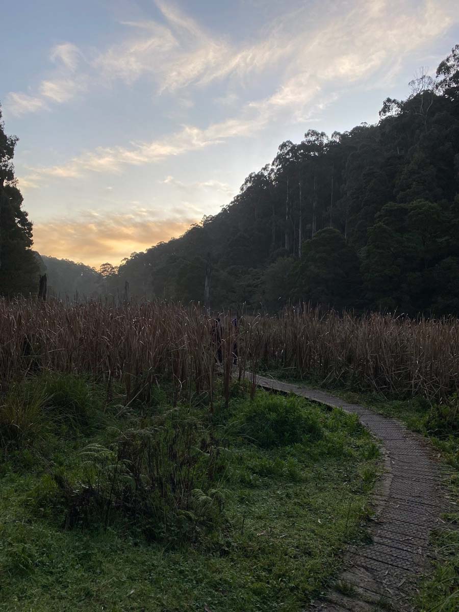 Lake elizabeth circuit walk 1