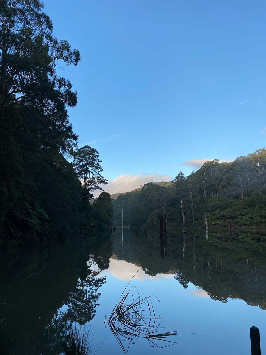 Lake elizabeth circuit walk 3