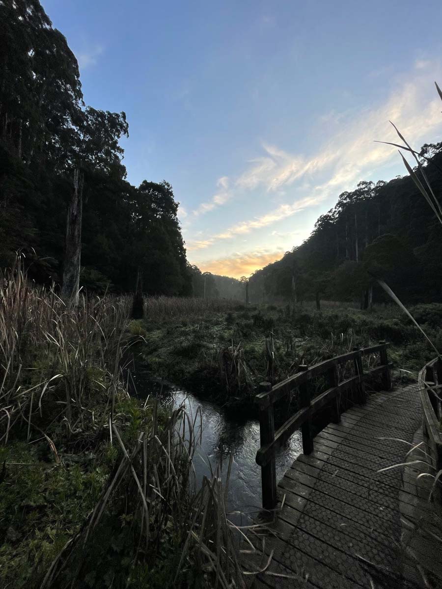 Lake elizabeth circuit walk 5