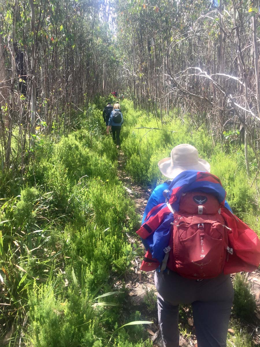 Lake mountain & keppel hut hike 17