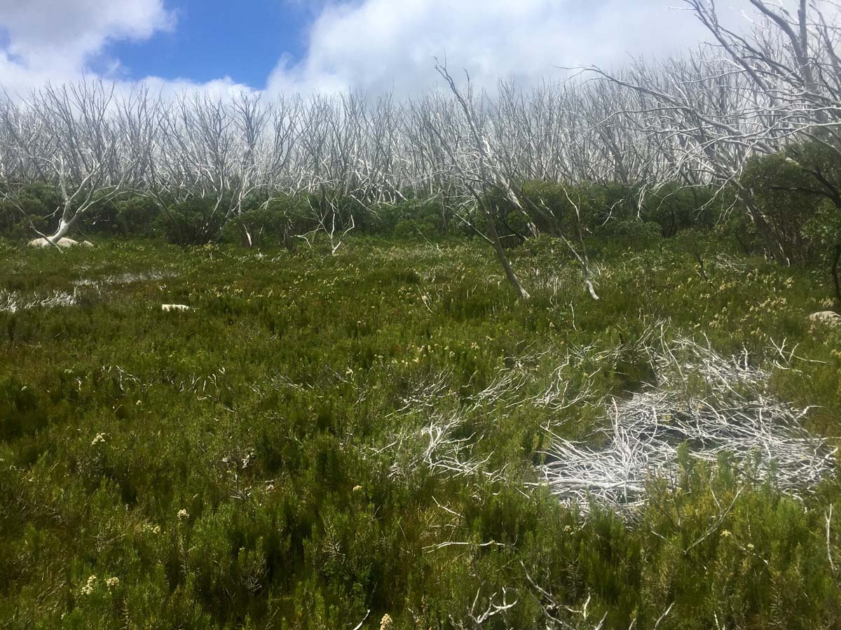 Lake mountain & keppel hut hike 23