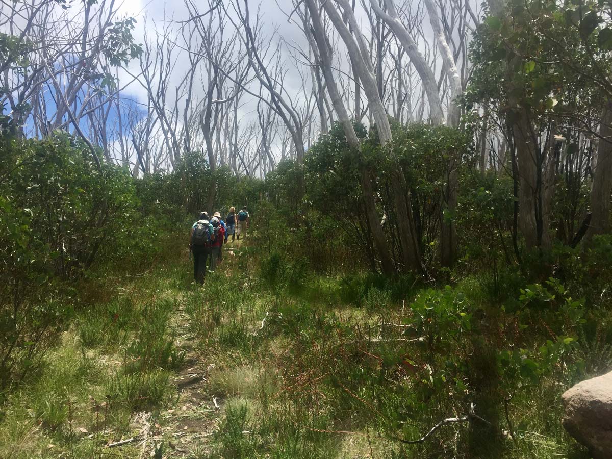 Lake mountain & keppel hut hike 24