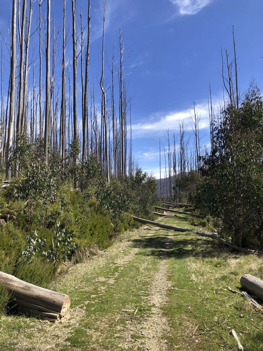 Lake mountain & keppel hut hike 48