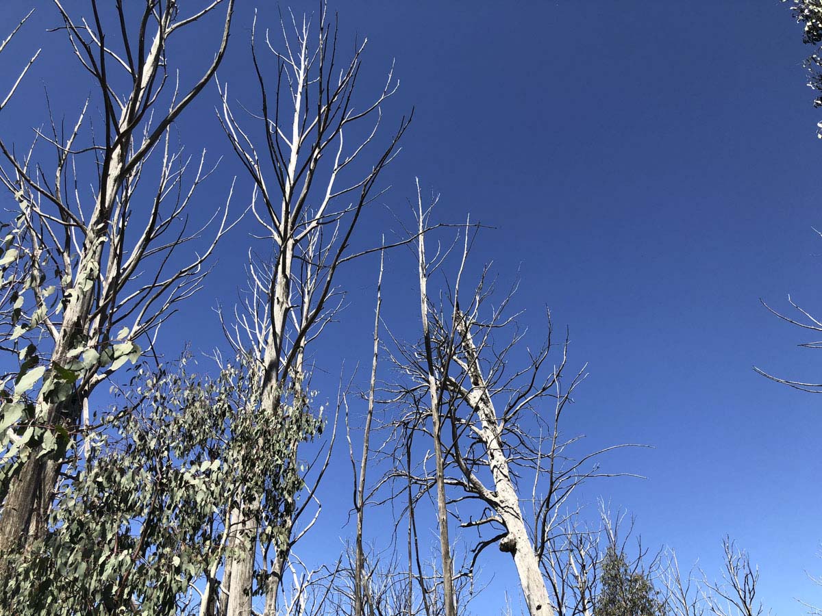 Lake mountain & keppel hut hike 49