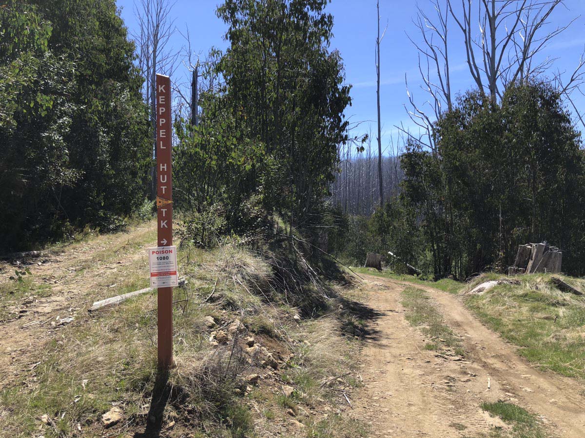 Lake mountain & keppel hut hike 50