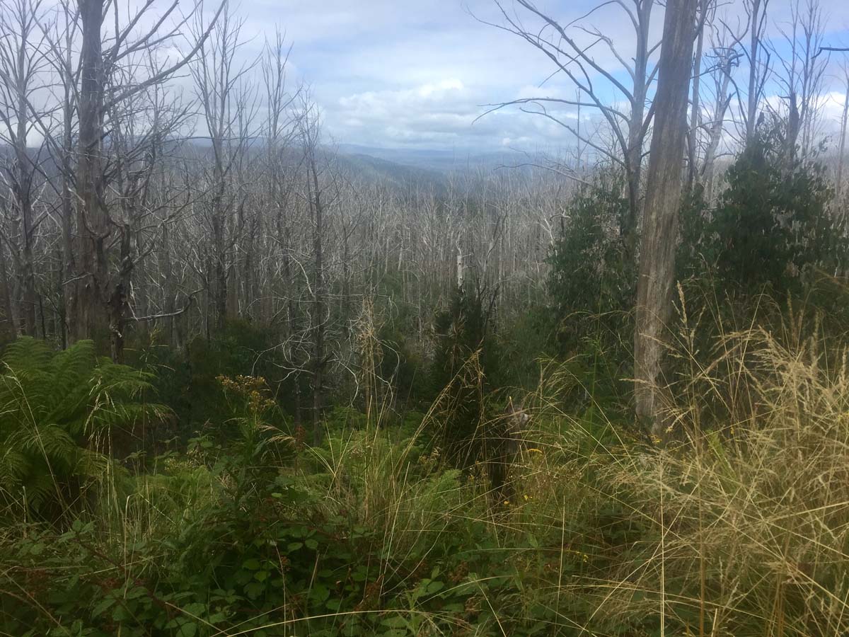 Lake mountain & keppel hut hike 6