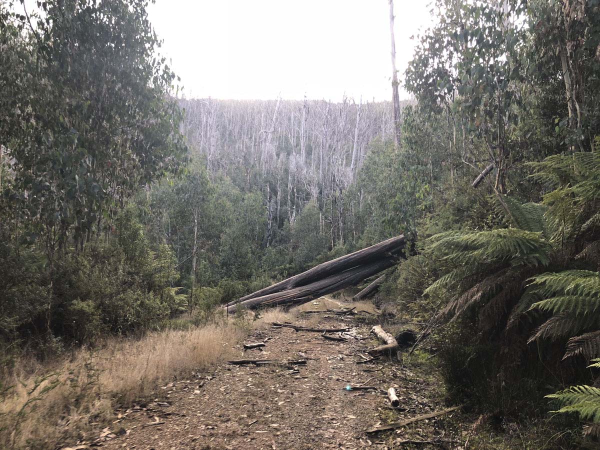 Lake mountain & keppel hut hike 61
