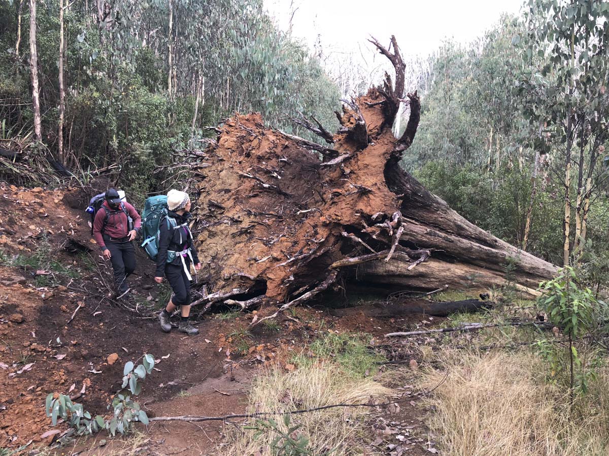 Lake mountain & keppel hut hike 62