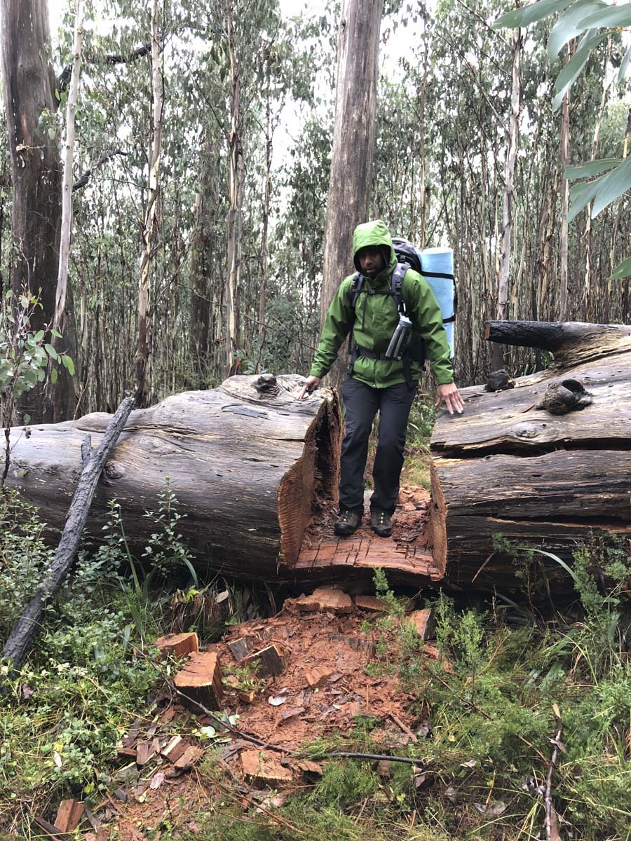 Lake mountain & keppel hut hike 74