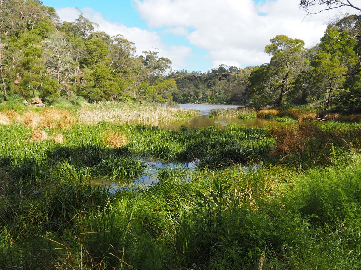 Lake surprise walk (2)