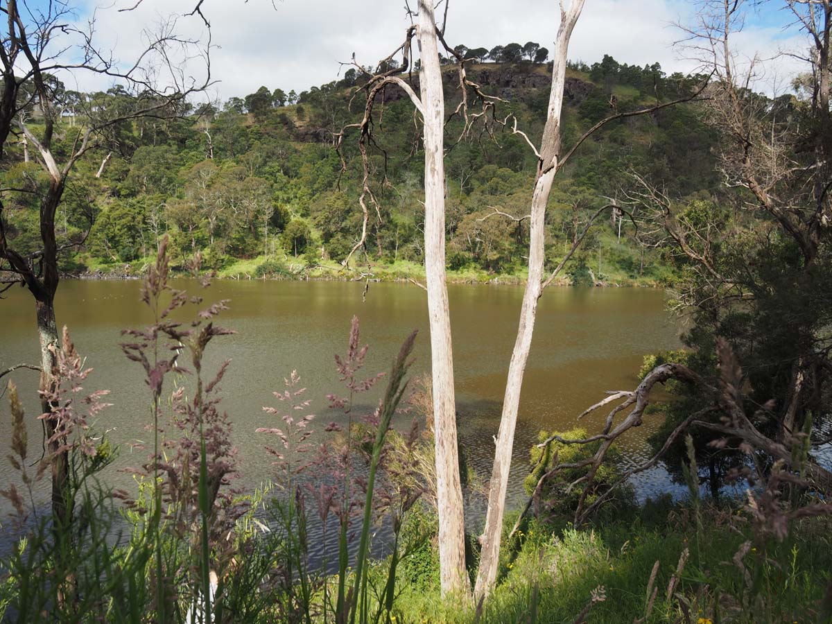 Lake surprise walk (3)