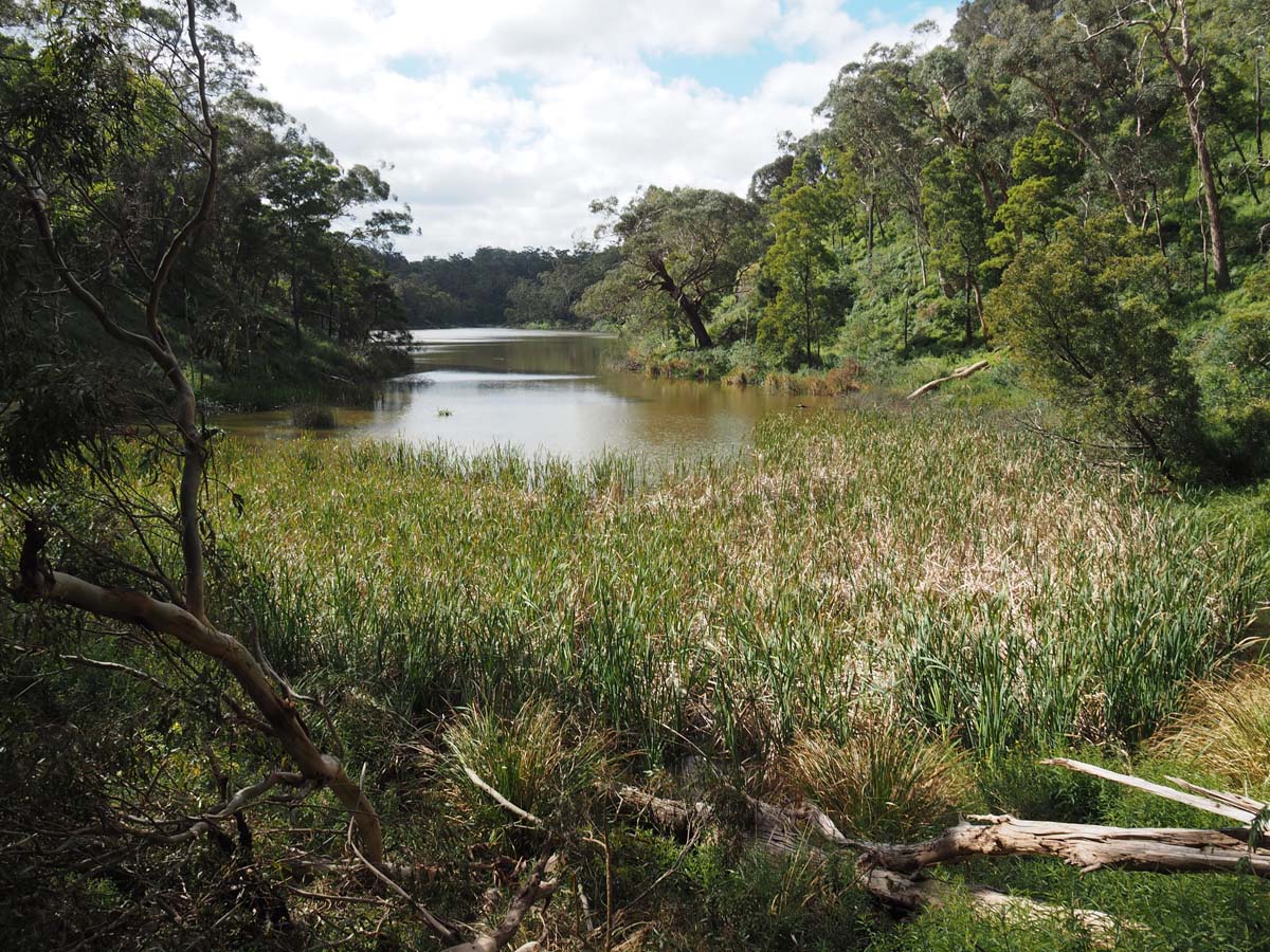 Lake surprise walk (4)