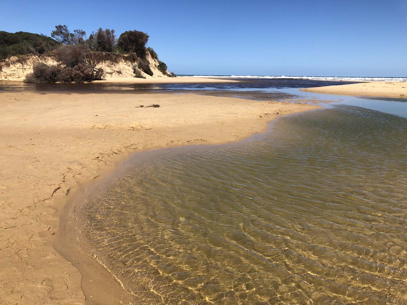 Lake tyers cliff top walk (1)