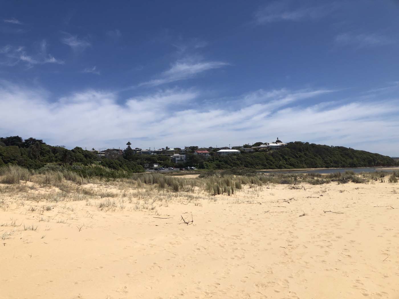 Lake tyers cliff top walk (10)