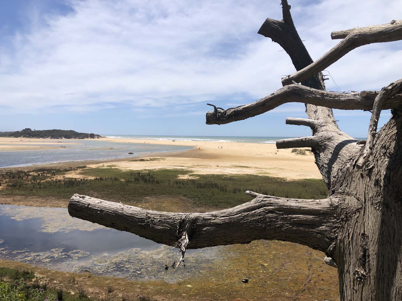 Lake tyers cliff top walk (11)