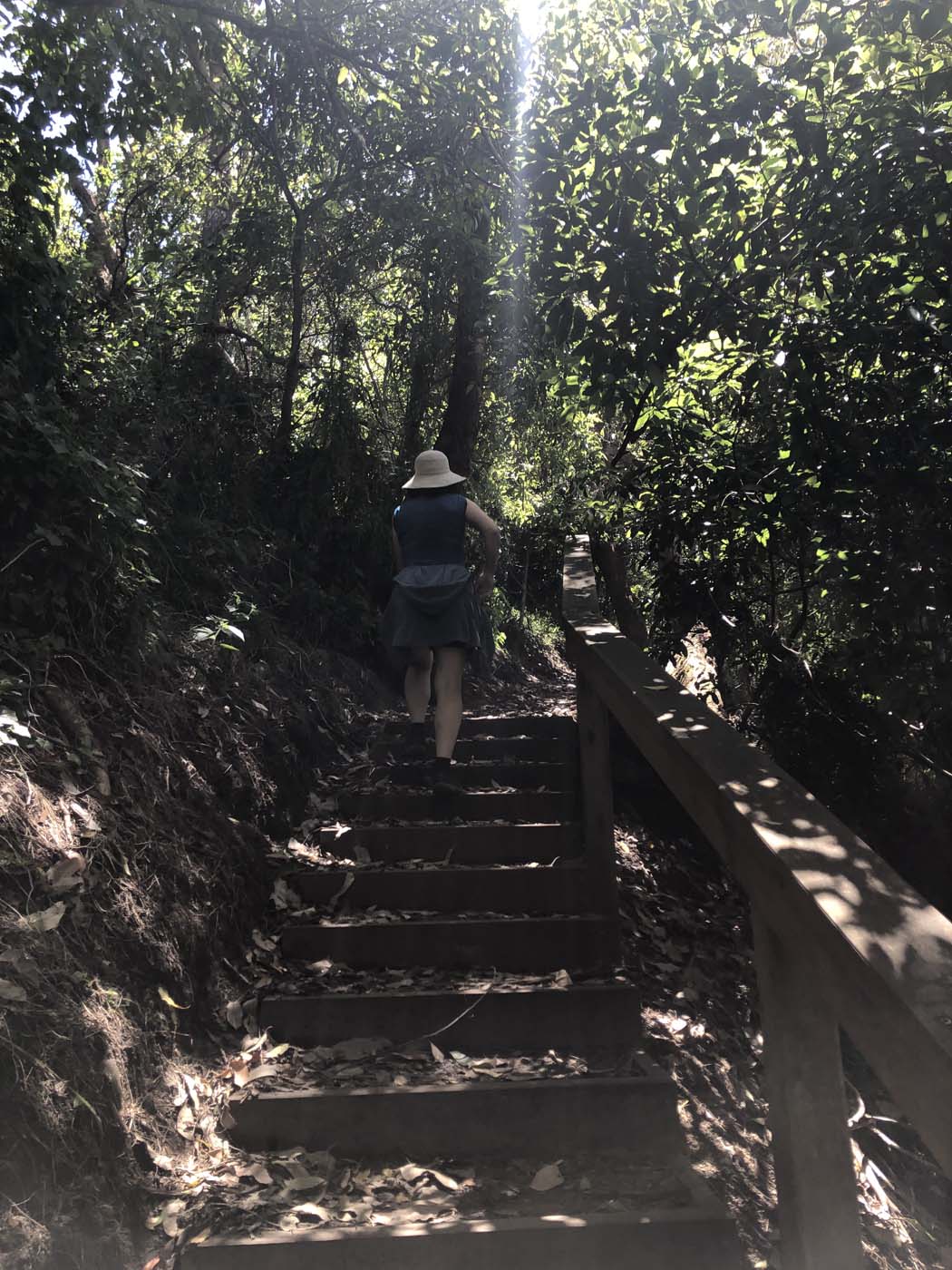 Lake tyers cliff top walk (12)