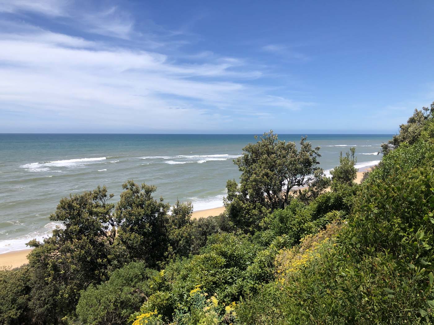 Lake tyers cliff top walk (13)