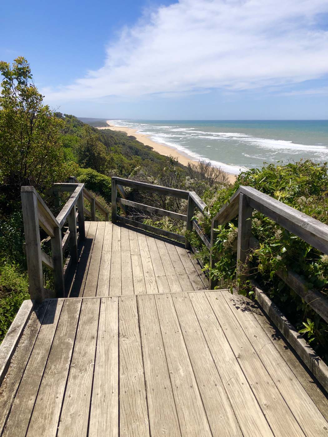 Lake tyers cliff top walk (14)