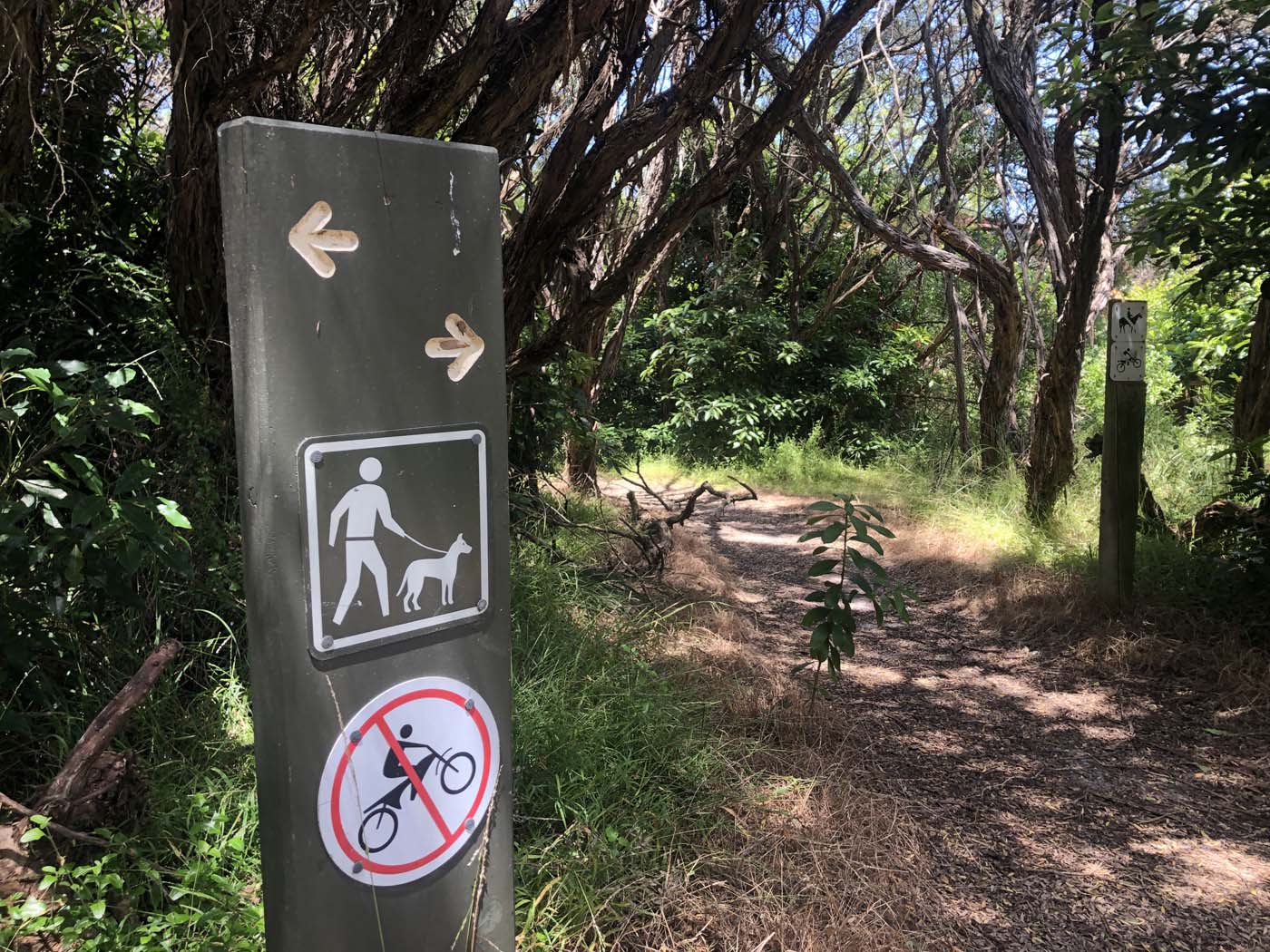 Lake tyers cliff top walk (17)