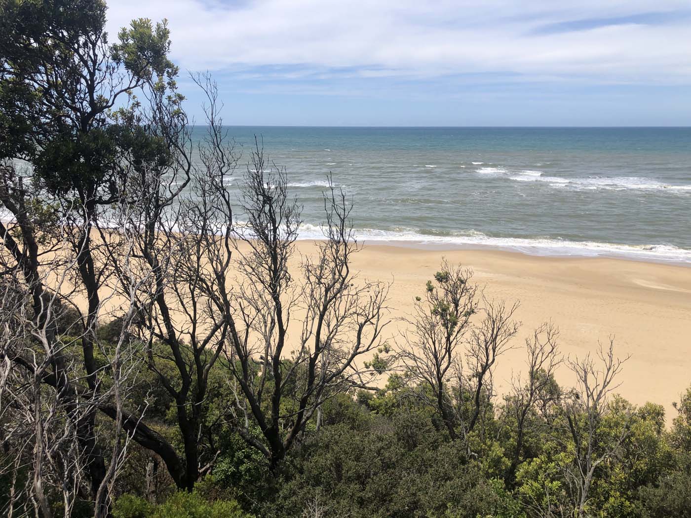 Lake tyers cliff top walk (18)