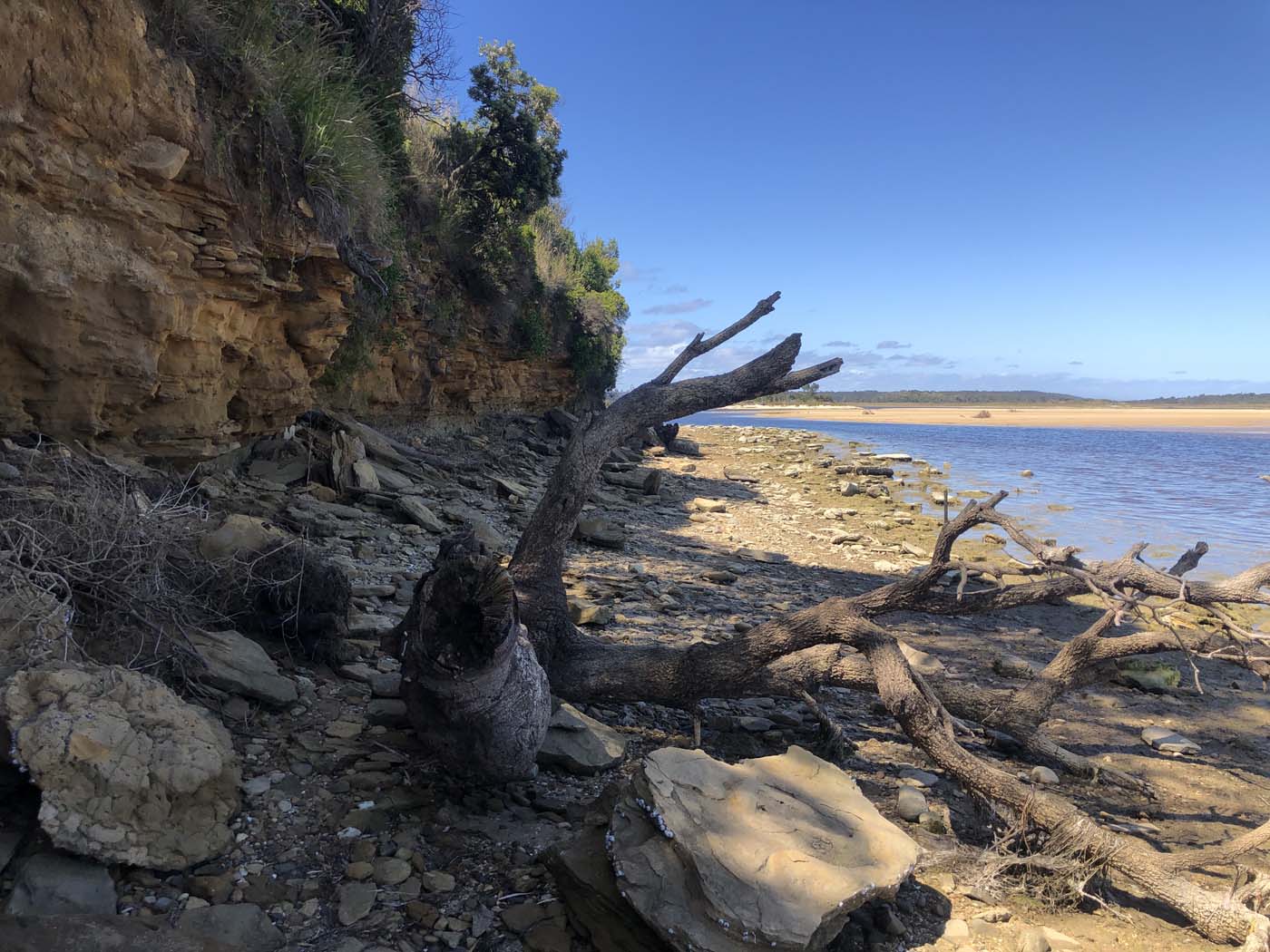 Lake tyers cliff top walk (2)