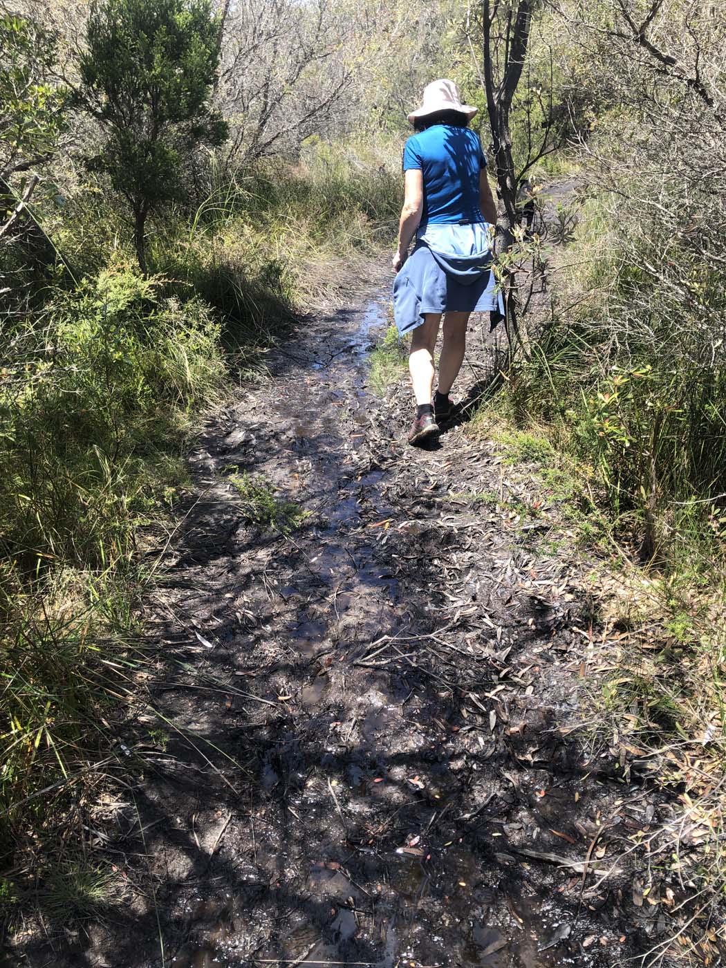 Lake tyers cliff top walk (22)