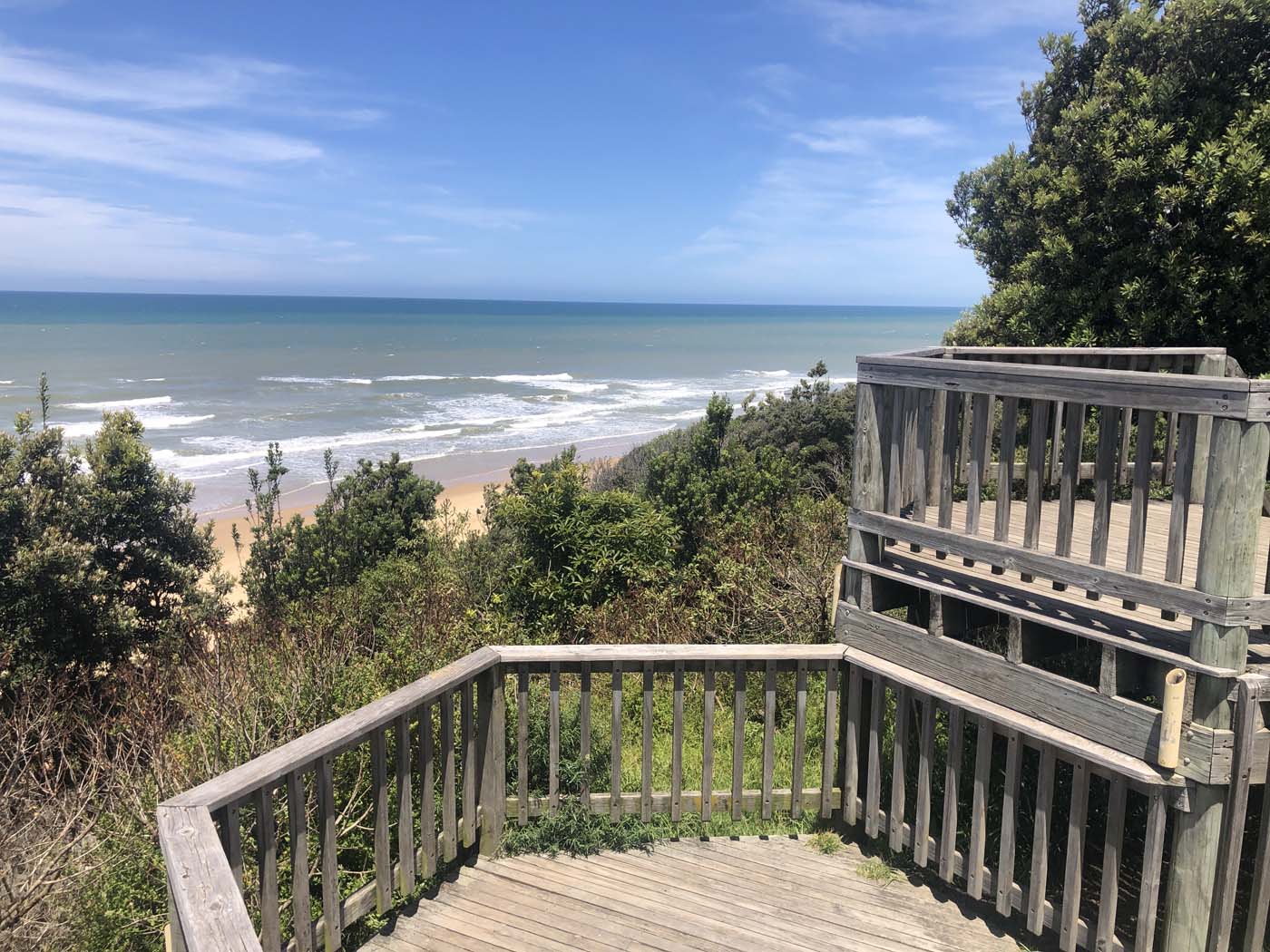 Lake tyers cliff top walk (23)
