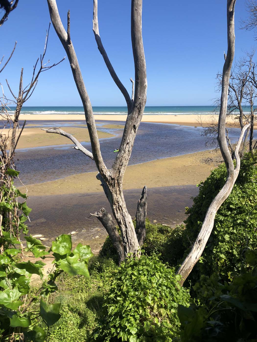Lake tyers cliff top walk (3)