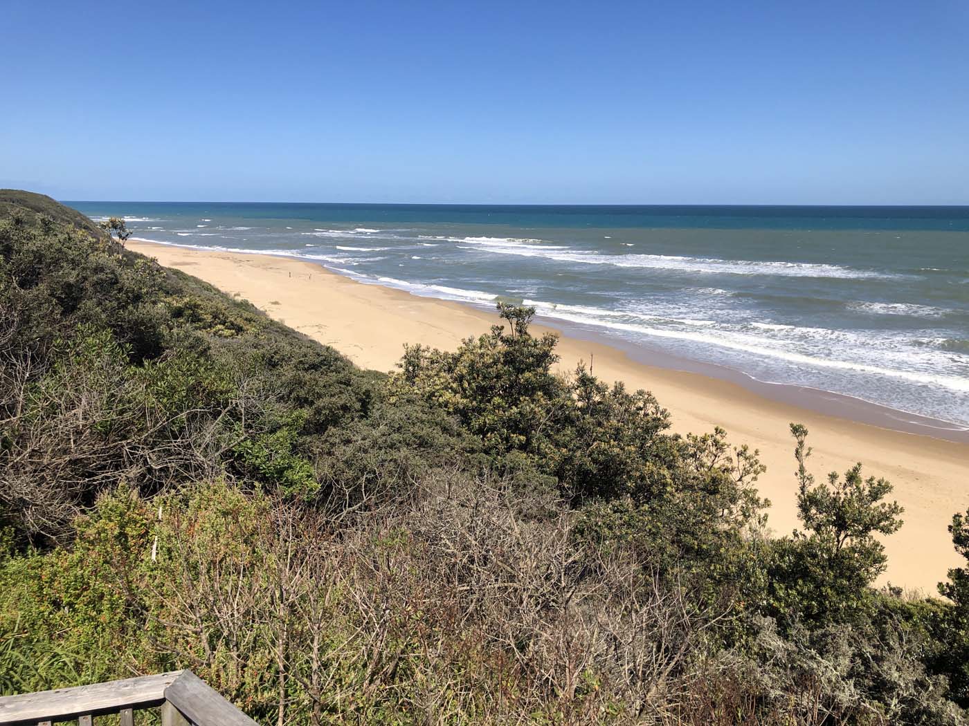 Lake tyers cliff top walk (4)
