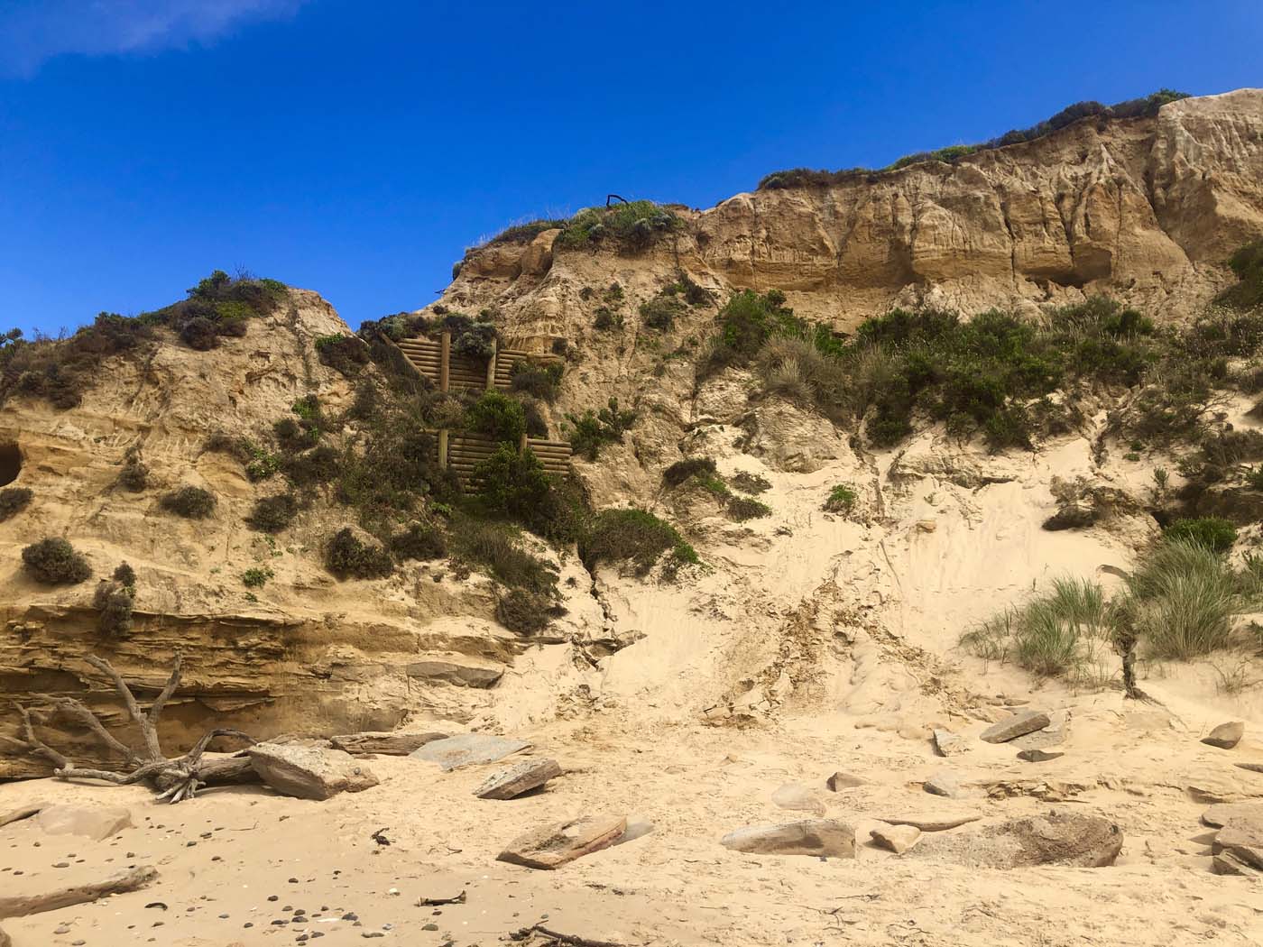 Lake tyers cliff top walk (6)