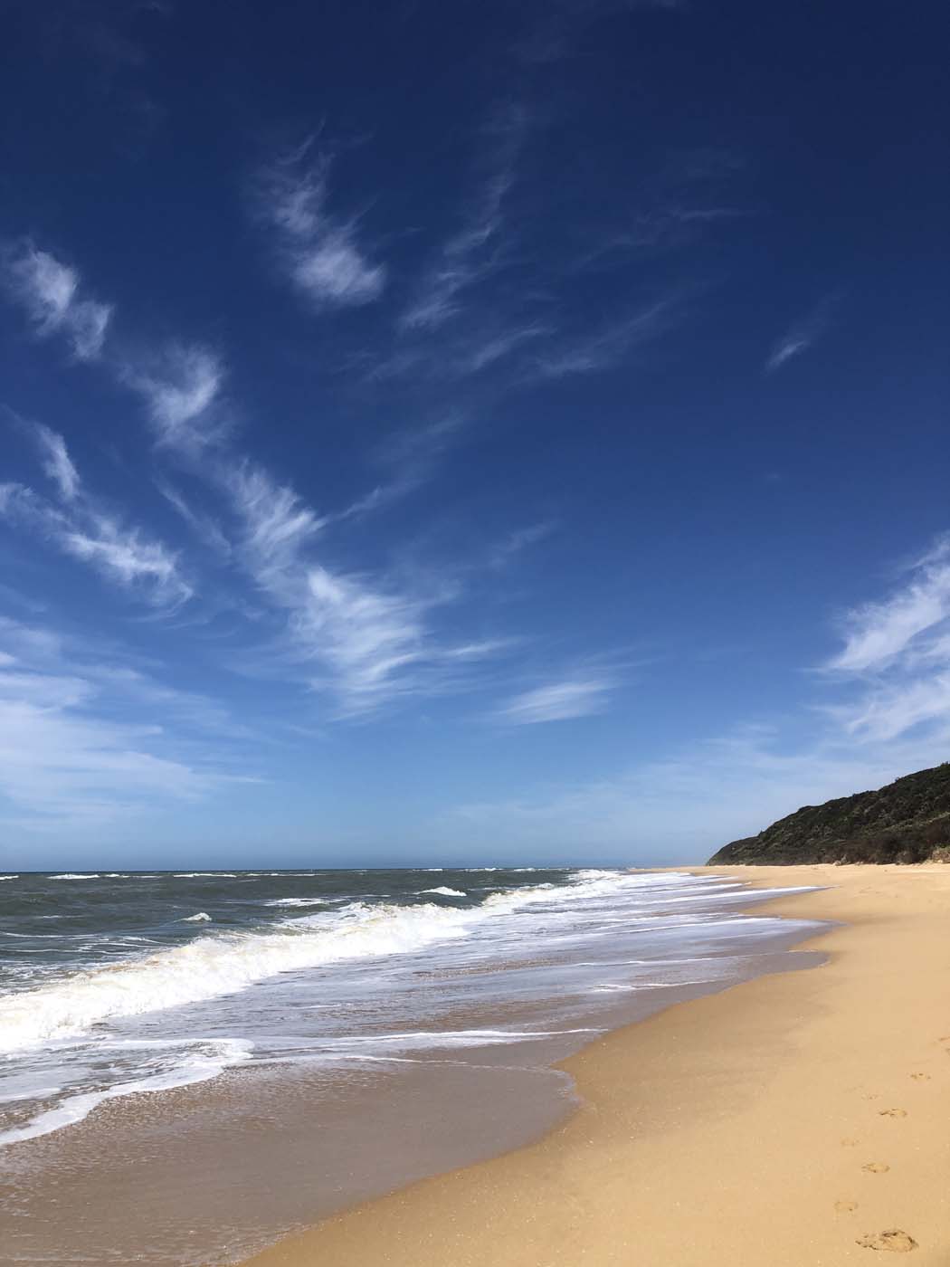Lake tyers cliff top walk (9)