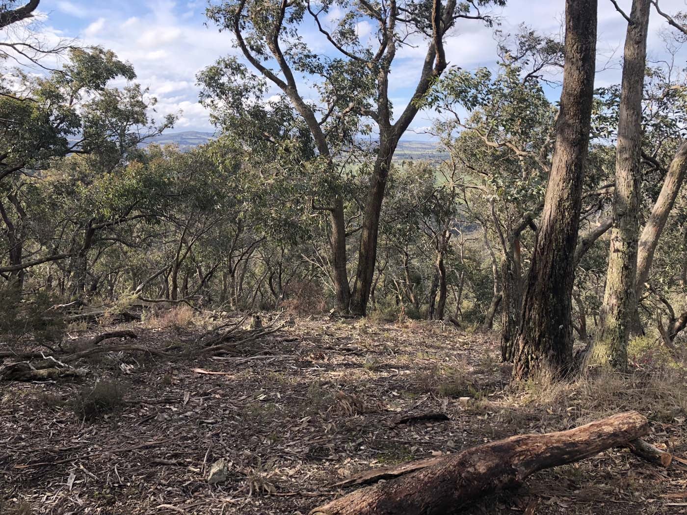 Lal lal bungal circuit (23)