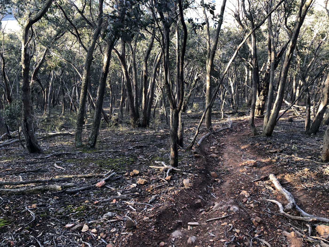 Lal lal bungal circuit (31)