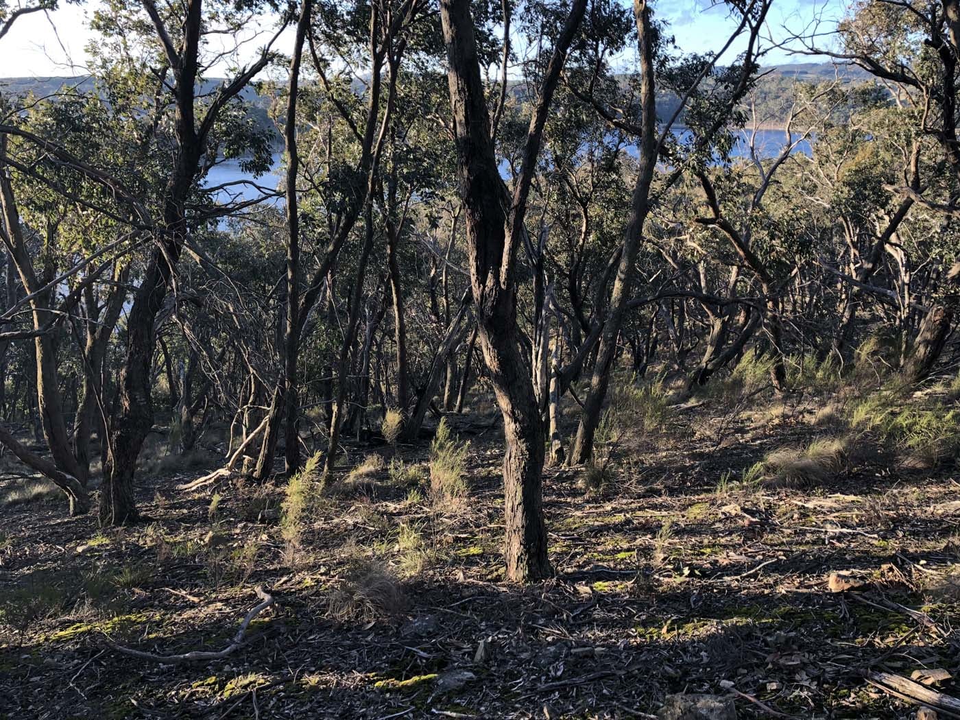 Lal lal bungal circuit (33)