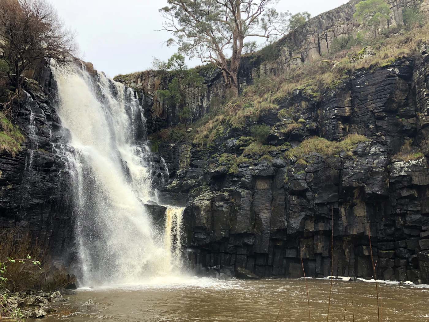Lal lal falls nature walk (4)