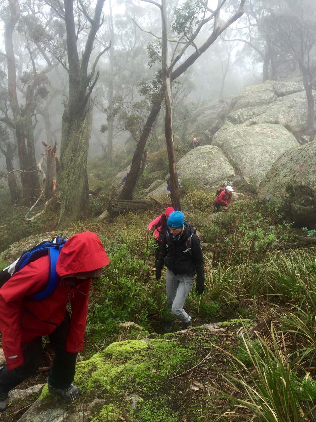 Mount gorrin hike (25)