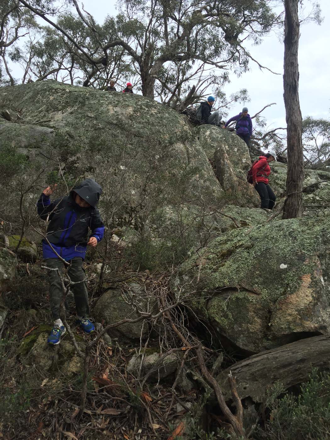 Mount gorrin hike (44)
