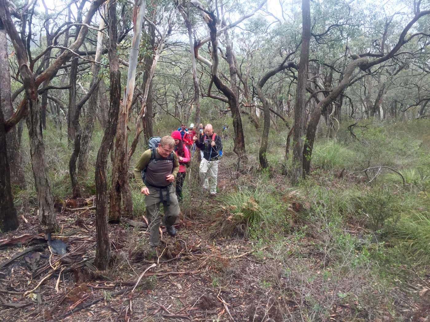 Mount gorrin hike (7)