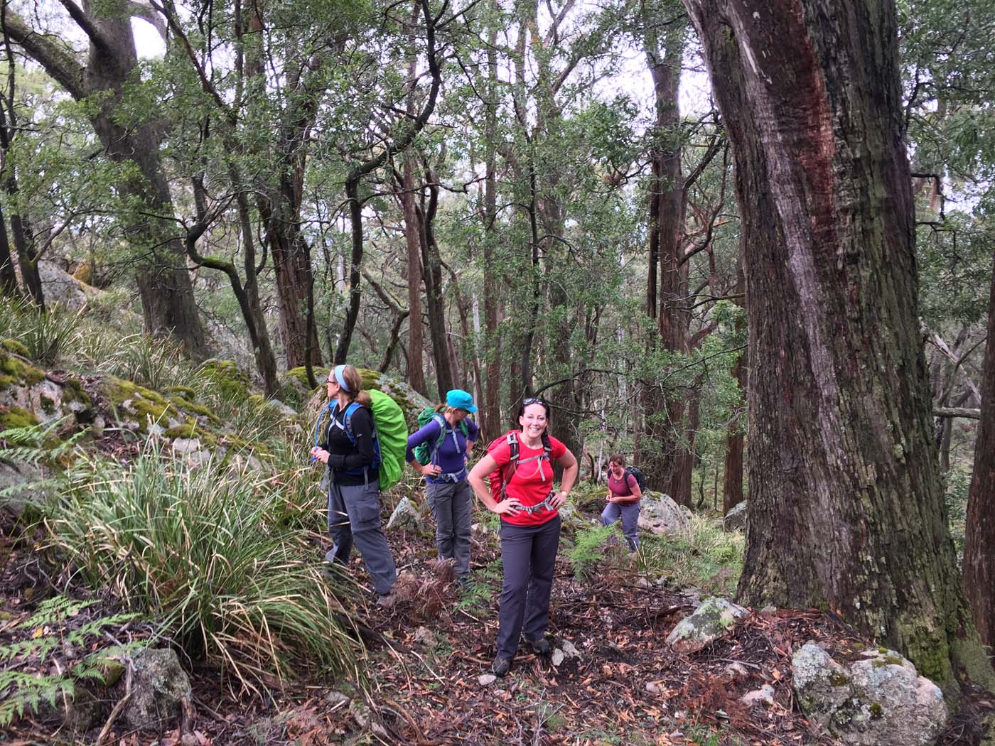 Mount langi ghiran hike 13