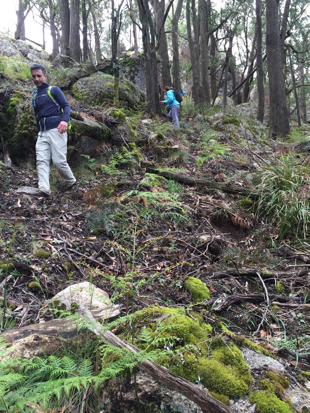 Mount langi ghiran hike 21