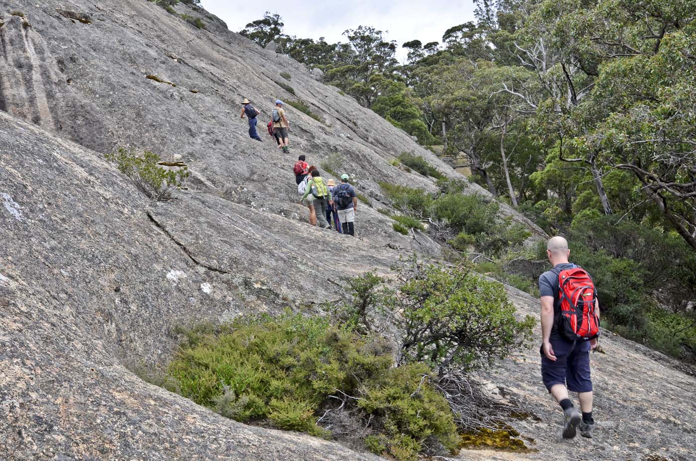 Mount langi ghiran hike 31
