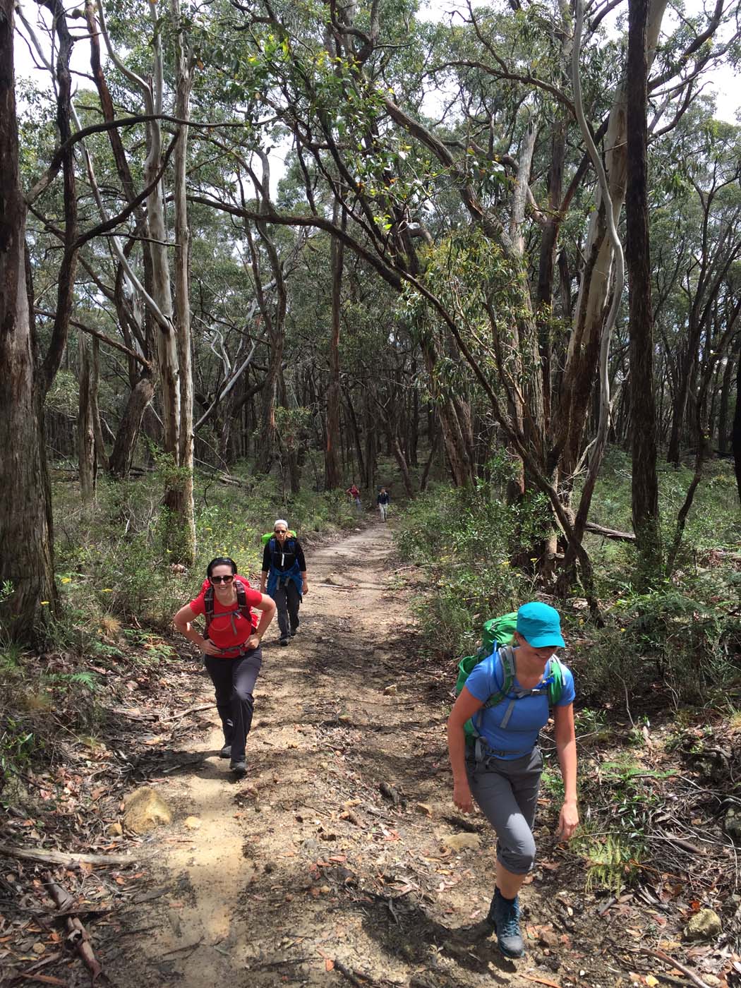 Mount langi ghiran hike 5