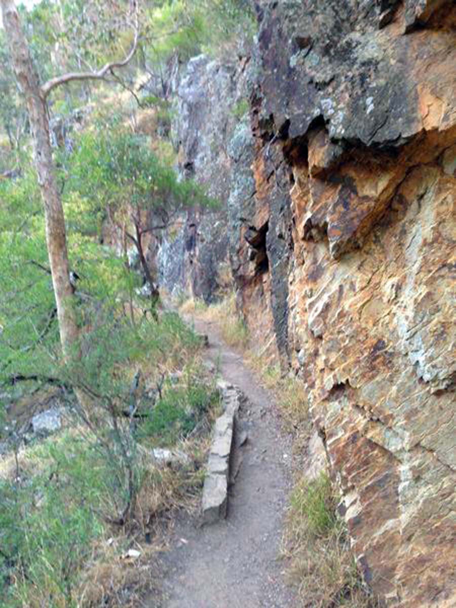 Lerderderg circuit walk link tracks 1 & 2 14