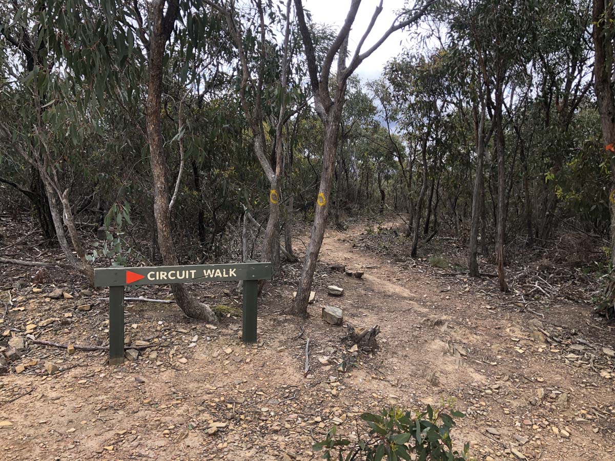Lerderderg circuit walk link tracks 1 & 2 15